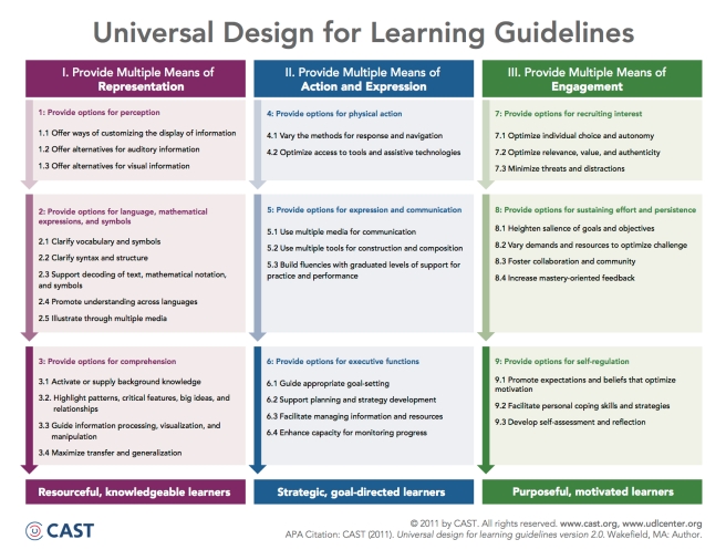 UDL Guidelines.jpg